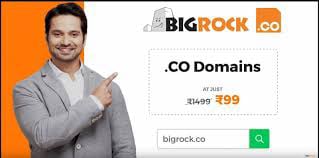 Customer Success Lead of bigrock